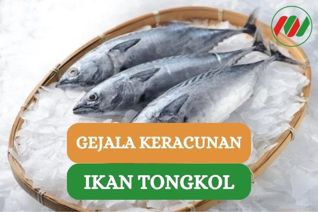 Ini Dia Gejala Keracunan Setelah Makan Ikan Tongkol